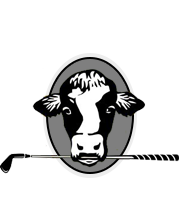 home  stonewall links